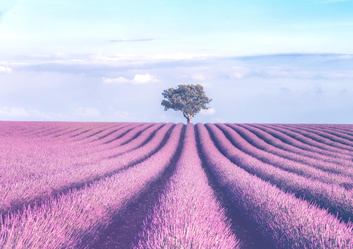 Mirabaud Asset Management launches five year fixed maturity bond